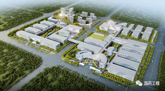 國藥工程中標石藥集團項目四個標段