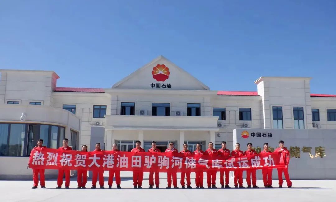 天津設(shè)計院勘察設(shè)計的國內(nèi)首座井站一體標準數(shù)智化儲氣庫受到央視關(guān)注