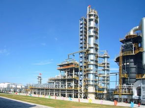 專有技術(shù)推介：“生物發(fā)酵法工業(yè)化生產(chǎn)1,3-丙二醇”